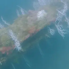 New Claims Spark Renewed Interest in Atlantis's Existence
