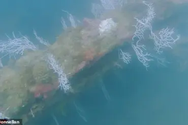 New Claims Spark Renewed Interest in Atlantis's Existence