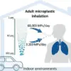 New Study Reveals Adults Inhale 68,000 Microplastics Daily, Raising Health Concerns