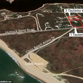 Patricia Belford Files $1.4 Million Lawsuit Against Neighbor Jon Over Tree Destruction in Nantucket Dispute
