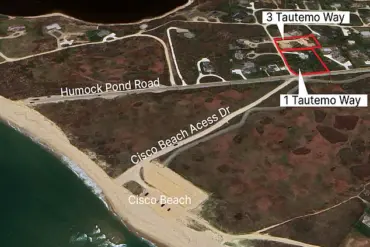 Patricia Belford Files $1.4 Million Lawsuit Against Neighbor Jon Over Tree Destruction in Nantucket Dispute