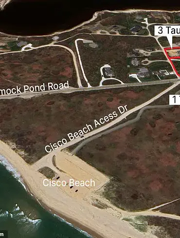 Patricia Belford Files $1.4 Million Lawsuit Against Neighbor Jon Over Tree Destruction in Nantucket Dispute