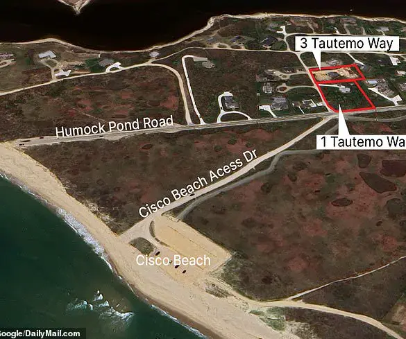 Patricia Belford Files $1.4 Million Lawsuit Against Neighbor Jon Over Tree Destruction in Nantucket Dispute