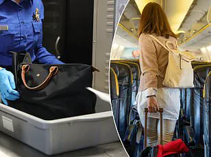 Privacy in the Scanner's Spotlight: How TSA Regulations and Tech Adoption Shape Public Perception of Security