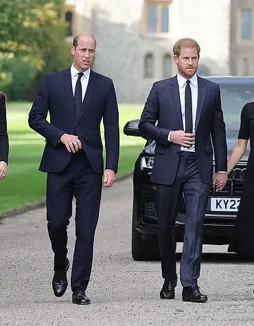 Privileged Access: Prince William's Role in Secret Royal Summit Revealed