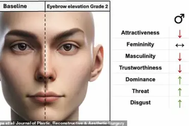 The Evolution of Eyebrow Trends: A Historical Perspective on Changing Beauty Standards
