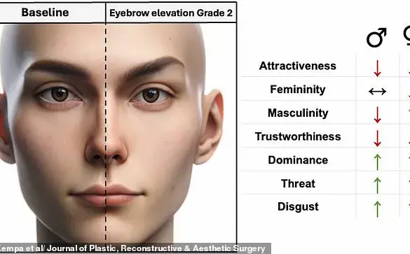 The Evolution of Eyebrow Trends: A Historical Perspective on Changing Beauty Standards