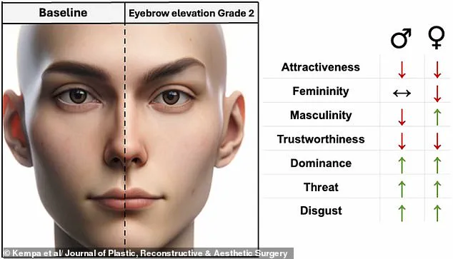 The Evolution of Eyebrow Trends: A Historical Perspective on Changing Beauty Standards