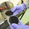 Trump Administration Launches Sterile Fly Campaign to Combat Screwworm Threat at U.S.-Mexico Border