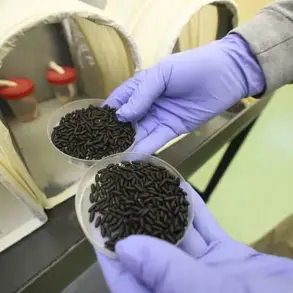 Trump Administration Launches Sterile Fly Campaign to Combat Screwworm Threat at U.S.-Mexico Border