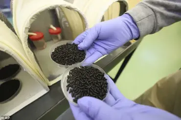 Trump Administration Launches Sterile Fly Campaign to Combat Screwworm Threat at U.S.-Mexico Border