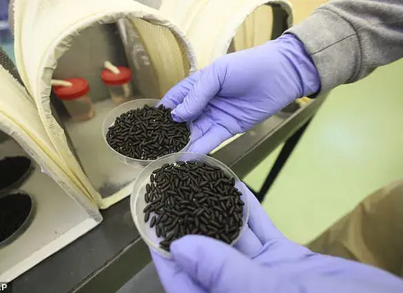Trump Administration Launches Sterile Fly Campaign to Combat Screwworm Threat at U.S.-Mexico Border
