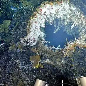 Underwater Volcano Axial Seamount Near Oregon Experiences Hundreds of Daily Earthquakes, Indicating Potential Eruption