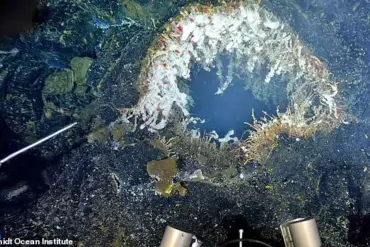 Underwater Volcano Axial Seamount Near Oregon Experiences Hundreds of Daily Earthquakes, Indicating Potential Eruption