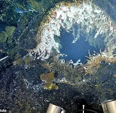 Underwater Volcano Axial Seamount Near Oregon Experiences Hundreds of Daily Earthquakes, Indicating Potential Eruption