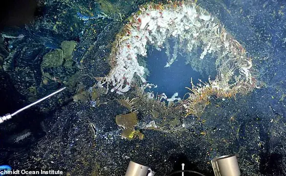 Underwater Volcano Axial Seamount Near Oregon Experiences Hundreds of Daily Earthquakes, Indicating Potential Eruption