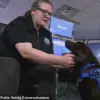 Urgent Inquiry into Tragic Death of Baxter, the Labrador Left in Hot Vehicle in Maine