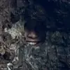 Viral Reddit Post Unveils Hidden Secret in New Zealand's Seaside Landscape