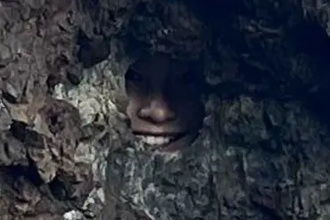 Viral Reddit Post Unveils Hidden Secret in New Zealand's Seaside Landscape
