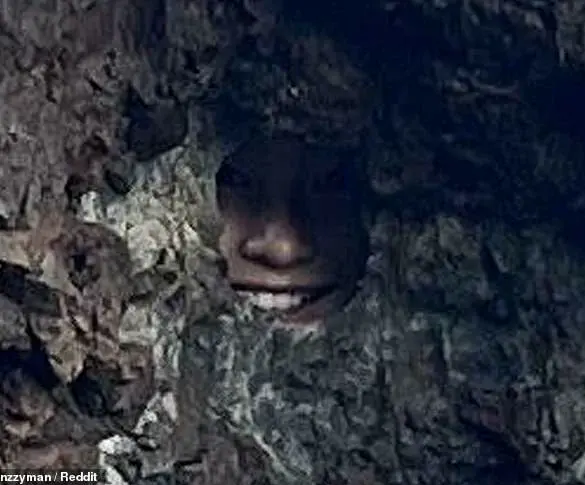 Viral Reddit Post Unveils Hidden Secret in New Zealand's Seaside Landscape