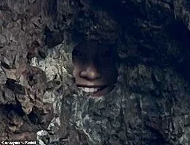 Viral Reddit Post Unveils Hidden Secret in New Zealand's Seaside Landscape