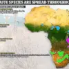 A New Revelation: Scientists from the IUCN Have Confirmed That Giraffes Are Actually Four Distinct Species, Upending Decades-Old Beliefs