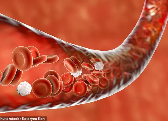Alarming New Study: Mild Covid-19 Cases Can Accelerate Vascular Aging by Five Years, Heightening Heart Disease and Dementia Risks