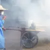 Alarming New Threat: Chikungunya Virus Suspected in U.S. Sparks Concern Over Crippling Pain and Pandemic-Like Measures