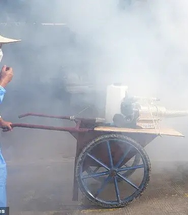 Alarming New Threat: Chikungunya Virus Suspected in U.S. Sparks Concern Over Crippling Pain and Pandemic-Like Measures