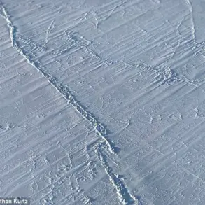 Arctic Sea Ice Melting Slows Despite Rising Temperatures, Says University of Exeter Study: 'This Contradicts Expected Trends'