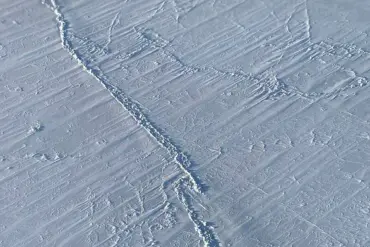 Arctic Sea Ice Melting Slows Despite Rising Temperatures, Says University of Exeter Study: 'This Contradicts Expected Trends'