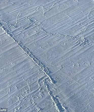 Arctic Sea Ice Melting Slows Despite Rising Temperatures, Says University of Exeter Study: 'This Contradicts Expected Trends'