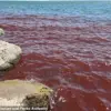 Crimson Waters of Sea of Galilee Spark Biblical Omen Fears: Urgent Environmental Alert