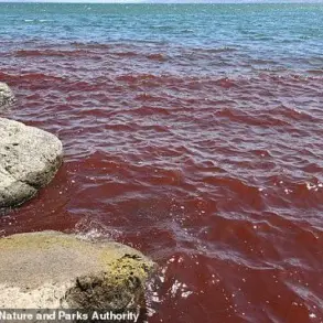 Crimson Waters of Sea of Galilee Spark Biblical Omen Fears: Urgent Environmental Alert