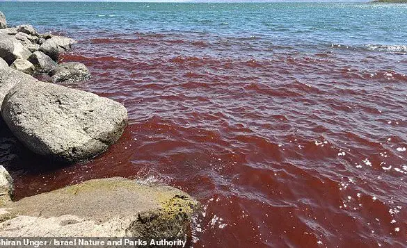 Crimson Waters of Sea of Galilee Spark Biblical Omen Fears: Urgent Environmental Alert