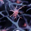 Experts May Have Found a Way to Stop Multiple Sclerosis in Its Tracks, New Research Suggests