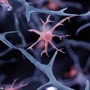 Experts May Have Found a Way to Stop Multiple Sclerosis in Its Tracks, New Research Suggests