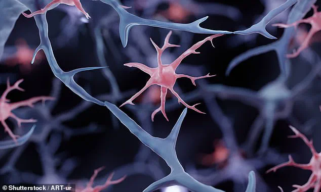 Experts May Have Found a Way to Stop Multiple Sclerosis in Its Tracks, New Research Suggests