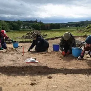 Florida Archaeology Student Discovers Rare Ninth-Century Gold Medal During First Excavation in England