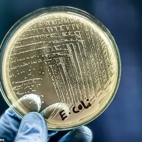 Florida Raw Milk Outbreak Linked to E. coli and Campylobacter Illnesses Sparks Health Debate