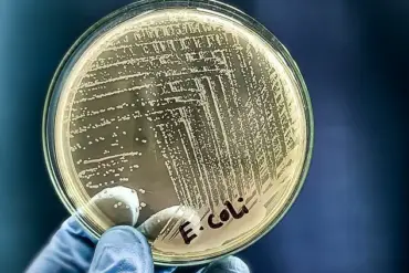 Florida Raw Milk Outbreak Linked to E. coli and Campylobacter Illnesses Sparks Health Debate