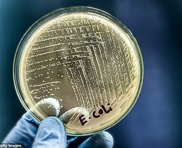Florida Raw Milk Outbreak Linked to E. coli and Campylobacter Illnesses Sparks Health Debate