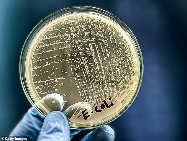 Florida Raw Milk Outbreak Linked to E. coli and Campylobacter Illnesses Sparks Health Debate