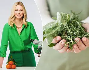 Herbalist Sparks Debate on Natural Remedies' Efficacy vs. Prescribed Medications, Expert Advisories Highlighted