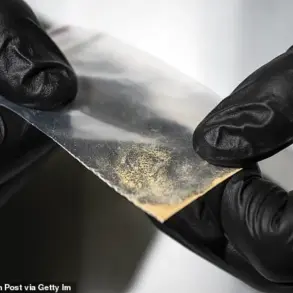 Lethal Synthetic Opioid Nitazene Exposes Regulatory Gaps, Public Safety at Risk