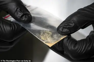 Lethal Synthetic Opioid Nitazene Exposes Regulatory Gaps, Public Safety at Risk