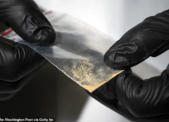 Lethal Synthetic Opioid Nitazene Exposes Regulatory Gaps, Public Safety at Risk