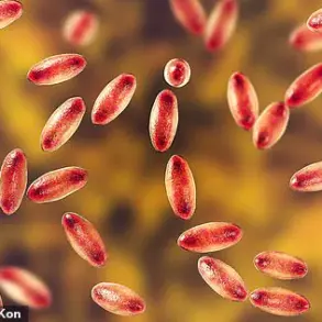 Limited Access to Information Sparks Public Health Advisories as Black Death Resurges in U.S.