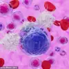 Mayo Clinic Discovery: Stem-like Memory T Cells May Hold Key to Maintaining Youthful Immune Function in the Elderly