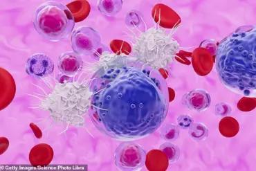 Mayo Clinic Discovery: Stem-like Memory T Cells May Hold Key to Maintaining Youthful Immune Function in the Elderly